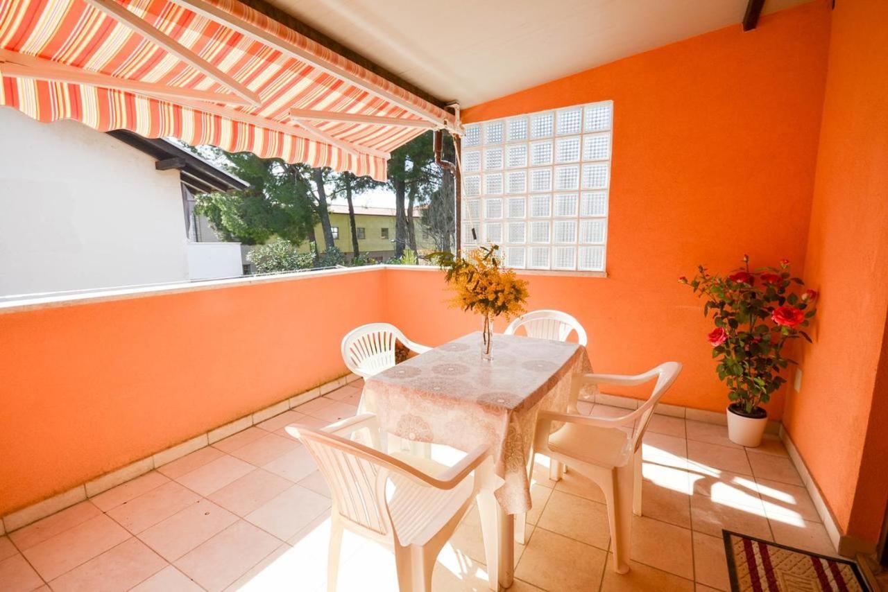Lili Apartment Novigrad  Ngoại thất bức ảnh