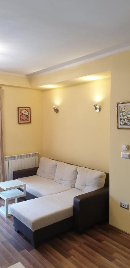 Lili Apartment Novigrad  Ngoại thất bức ảnh