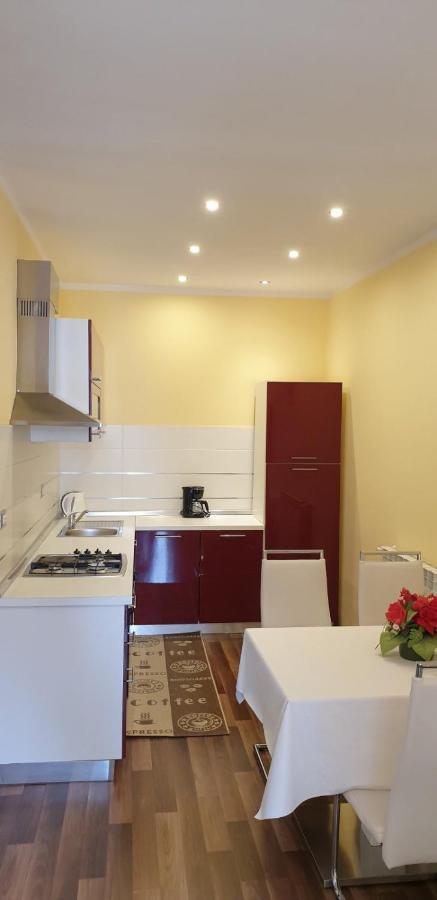 Lili Apartment Novigrad  Ngoại thất bức ảnh