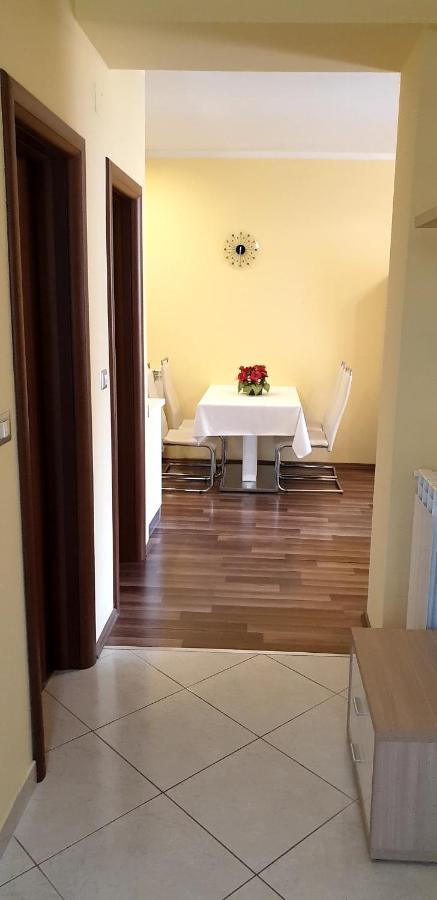Lili Apartment Novigrad  Ngoại thất bức ảnh